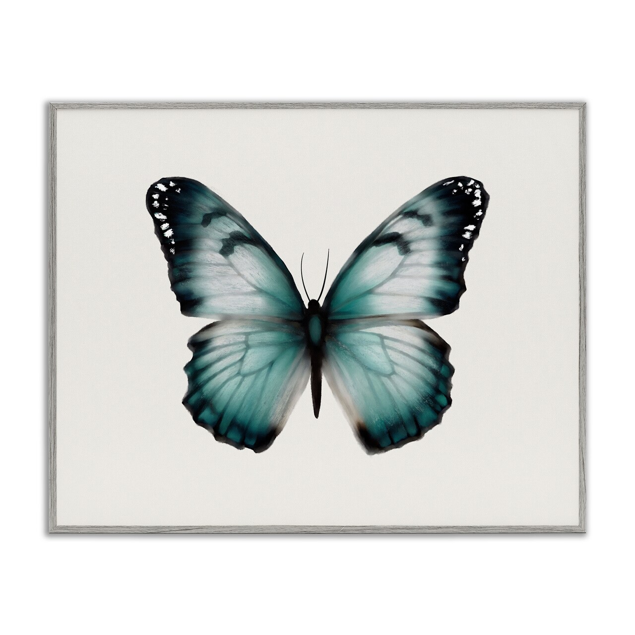Stupell Industries Teal Symmetrical Butterfly Framed Giclee Wall Art Design by Elizabeth Medley